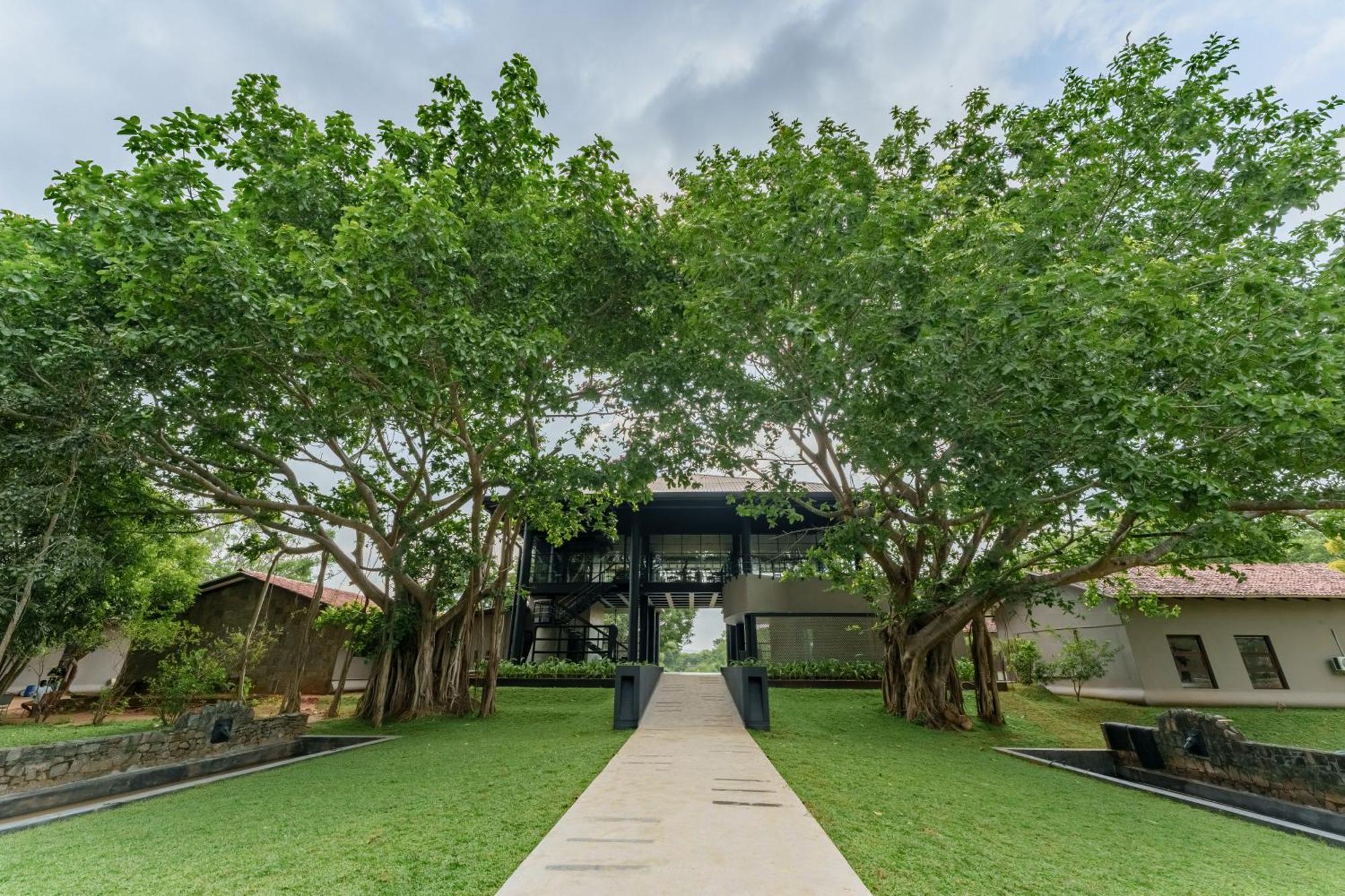 Ayugiri Ayurveda Wellness Resort Sigiriya Exteriér fotografie