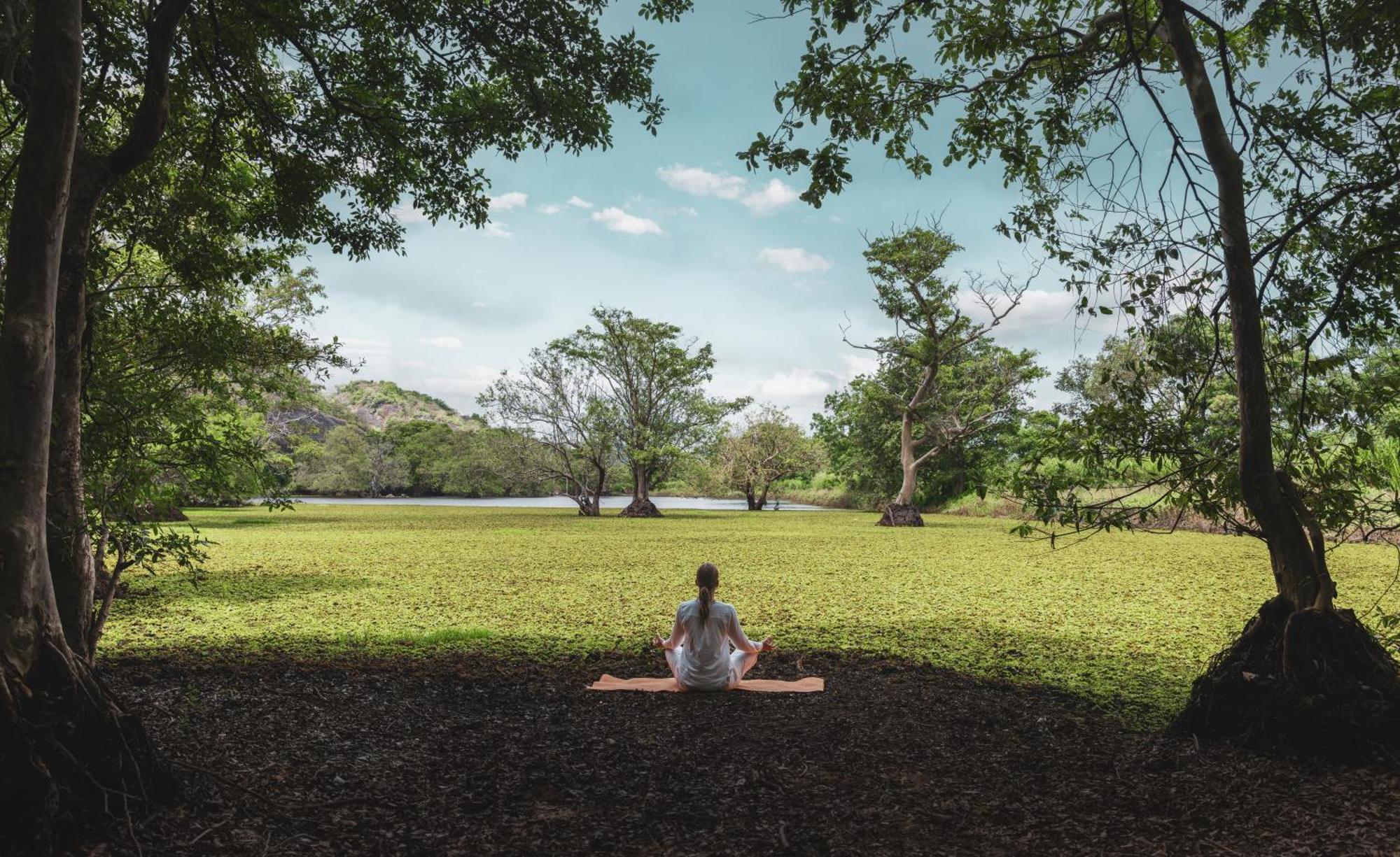 Ayugiri Ayurveda Wellness Resort Sigiriya Exteriér fotografie